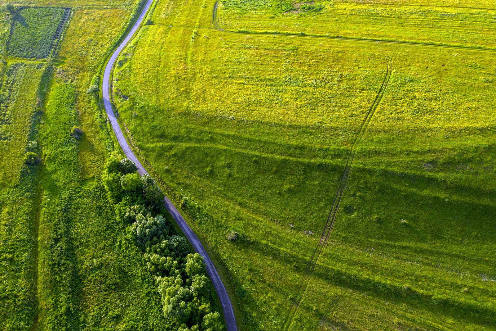 Equestrian Land
