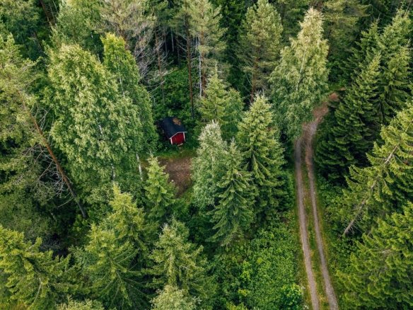 Natural Habitat